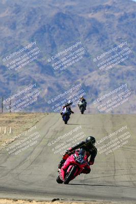 media/Mar-12-2022-SoCal Trackdays (Sat) [[152081554b]]/Turn 10 Braking Zone (11am)/